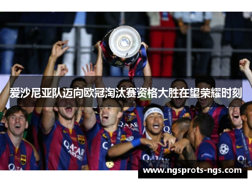 爱沙尼亚队迈向欧冠淘汰赛资格大胜在望荣耀时刻