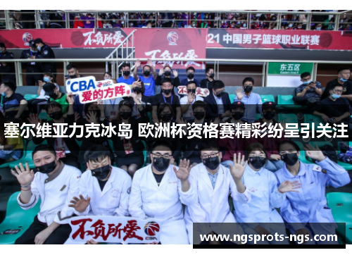 塞尔维亚力克冰岛 欧洲杯资格赛精彩纷呈引关注