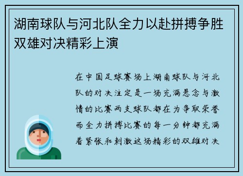 湖南球队与河北队全力以赴拼搏争胜双雄对决精彩上演