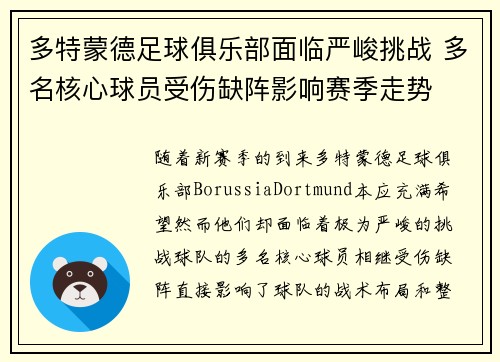 多特蒙德足球俱乐部面临严峻挑战 多名核心球员受伤缺阵影响赛季走势