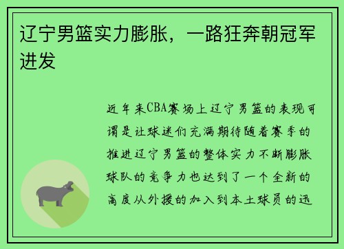 辽宁男篮实力膨胀，一路狂奔朝冠军进发